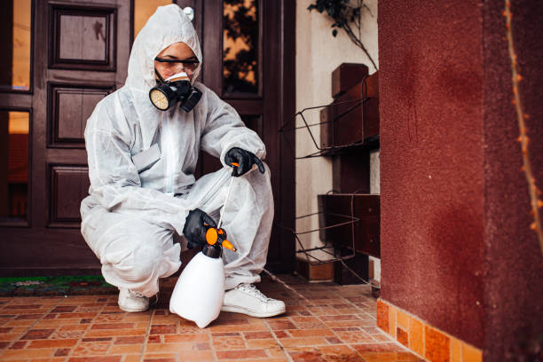 Attic and Crawl Space Rodent Treatment in Wyoming