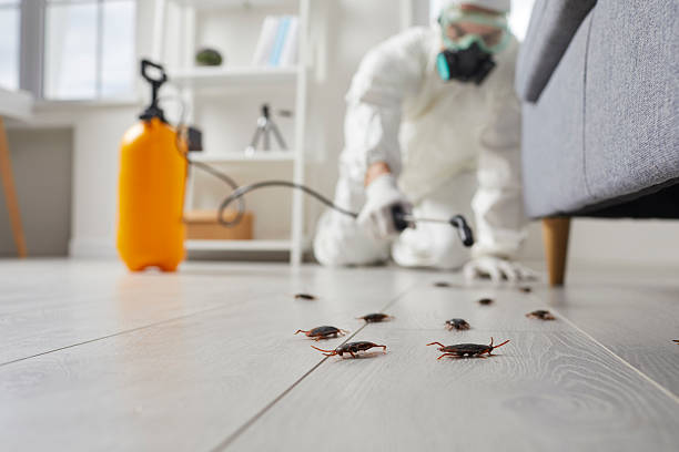 Commercial Rodent Management in Wyoming